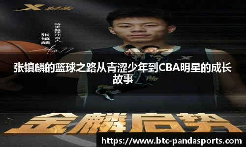 张镇麟的篮球之路从青涩少年到CBA明星的成长故事