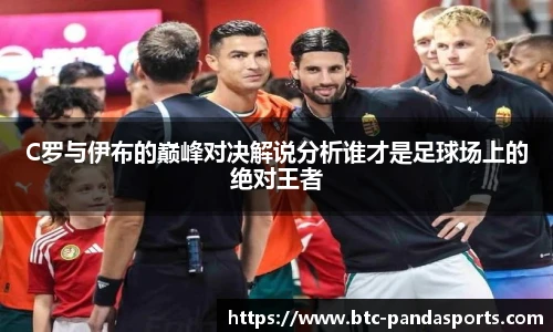 熊猫体育登录入口